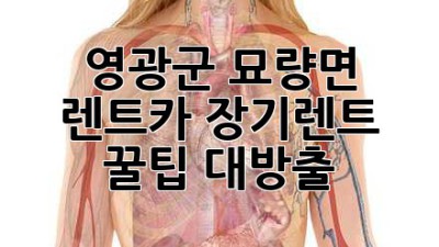 영광군 묘량면 렌트카 장기렌트, 꿀팁 대방출!
