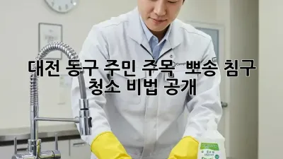대전 동구 주민 주목! ✨ 뽀송 침구 청소 비법 공개 🧺